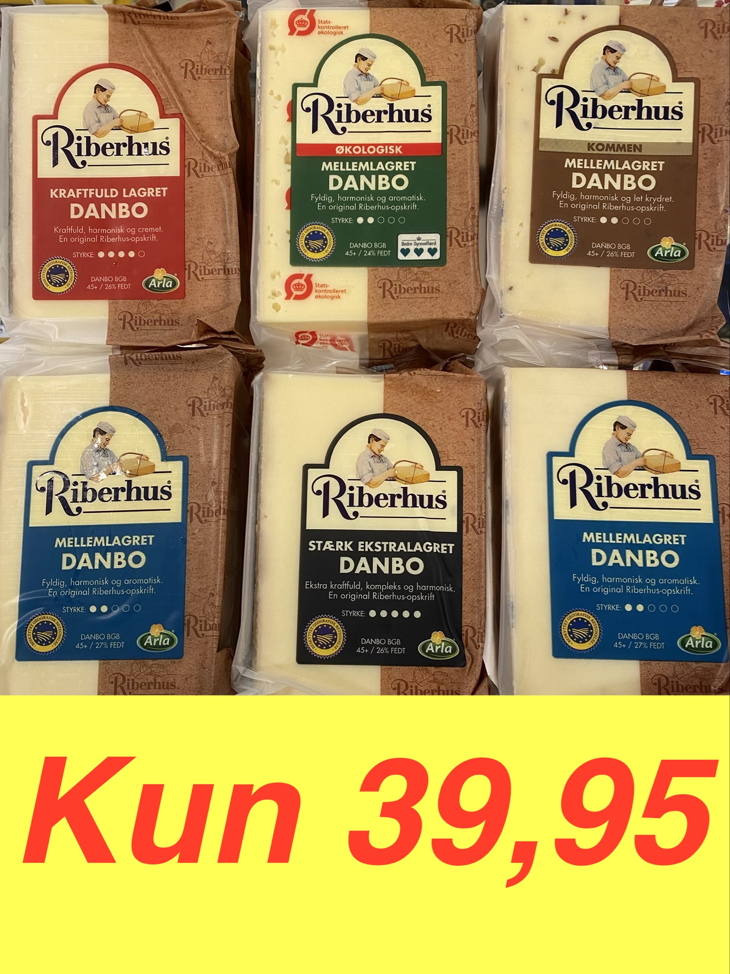 Riberhus Oste