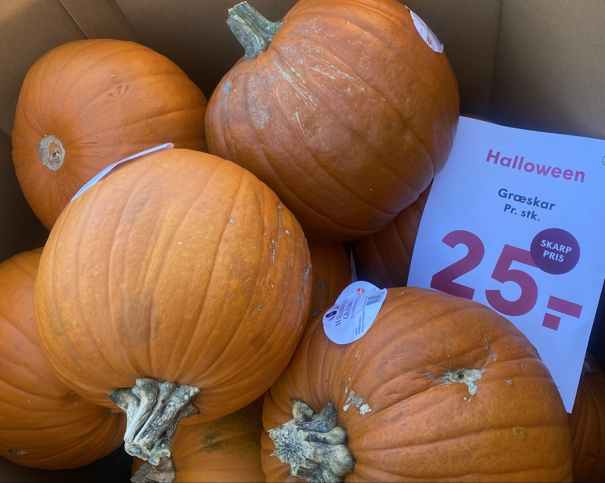 🎃 Halloween Græskar 🎃