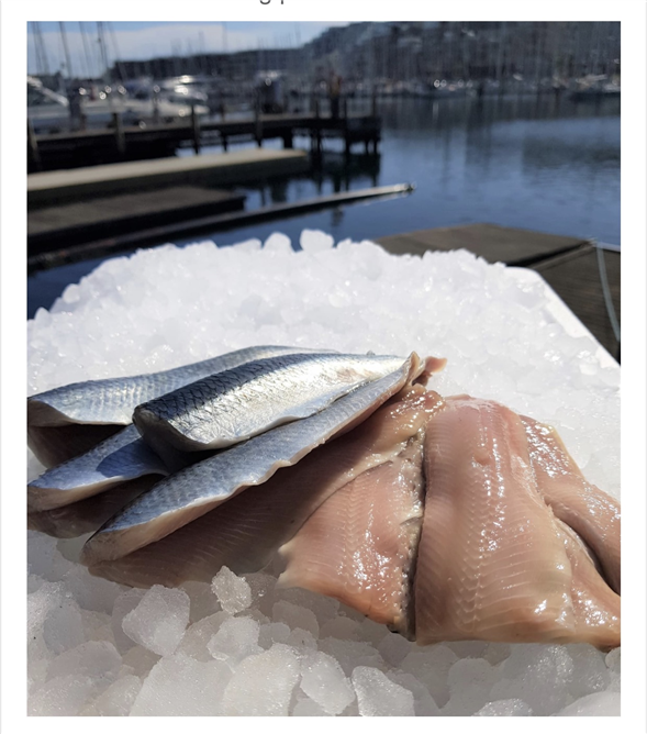 🐟  1 KG  SILDEFILETER 🐟